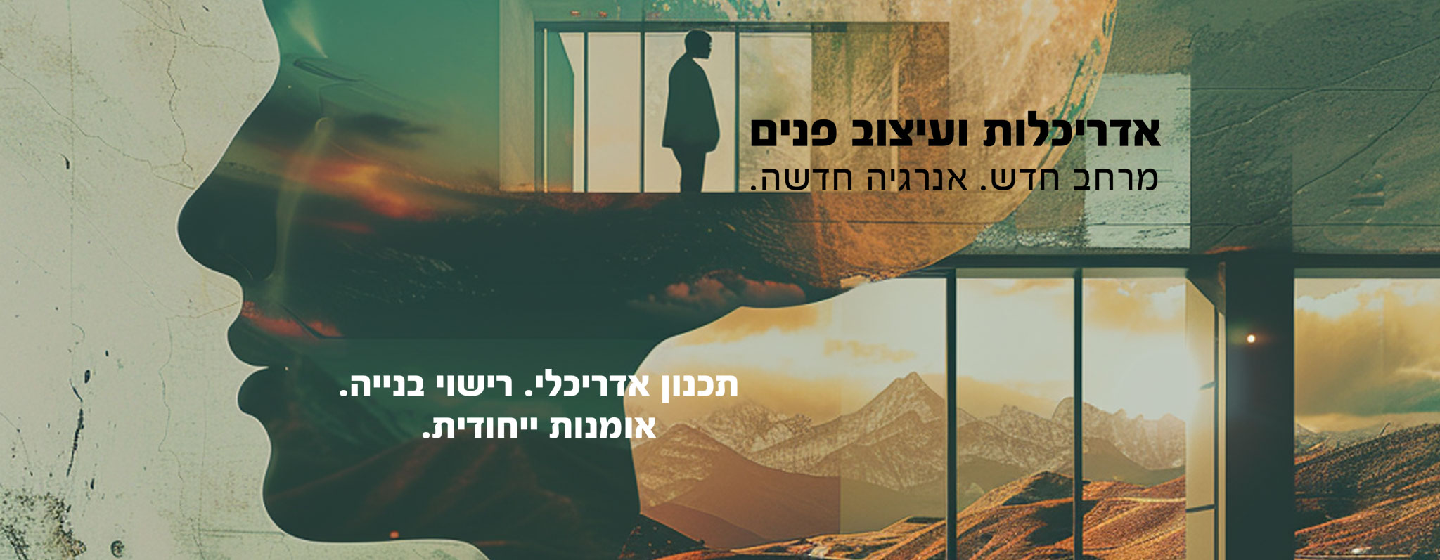 תהליך העבודה - לינדה דהן